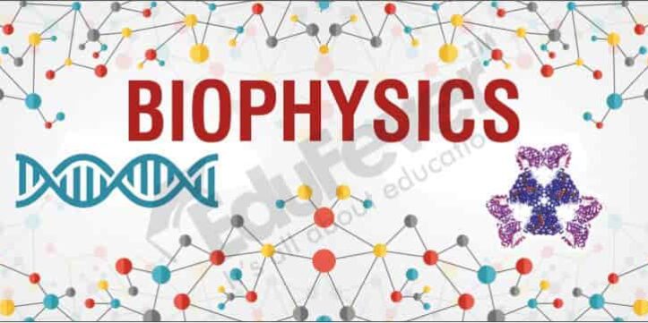 BIOPHYSICS-–-THE-PHYSICS-OF-BIOLOGICAL-SYSTEM